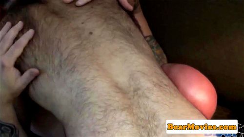 gay bear porn hairy chest
