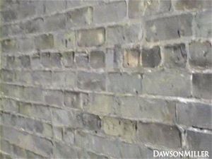 Watch Dawson Fire Escape - Big Ass, Big Tits, Amateur Porn - SpankBang