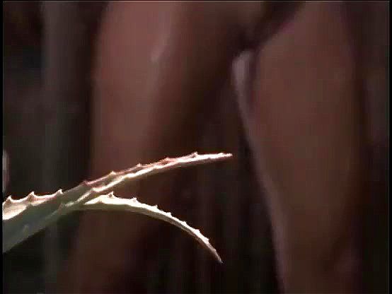 Asia Carrera Porn Tera Patrick And Jenna Jameson Videos Spankbang
