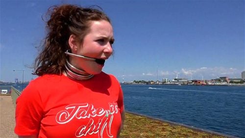  Tourist Wears Collar and Leash While Sightseeing 