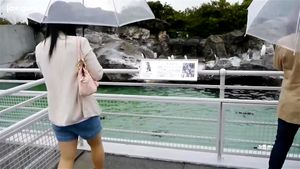 Watch from 0:52:47