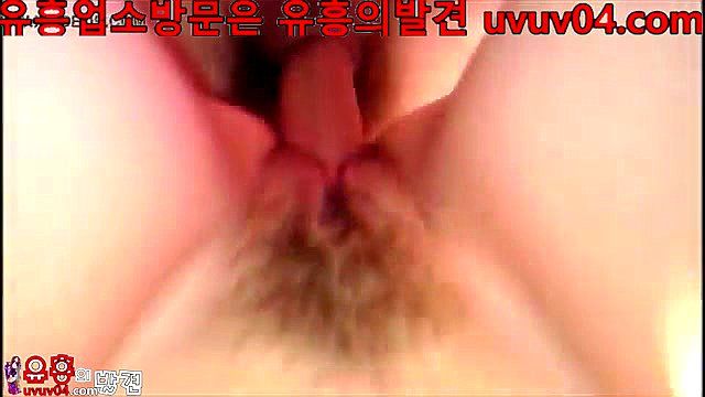 Watch 국산 한국 국 Korean Bj 사슴이 커스 자위 장난감 애액 분출 유흥의발견 Bj 국 Korean Porn